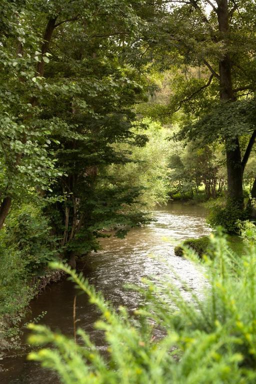 Zur Alten Muhle Lützkampen Exteriér fotografie